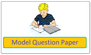 Model Paper